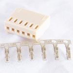 Polarized Header 6 Pin Female