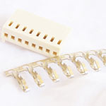 Polarized Header 8 Pin Female