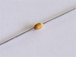 22pF 100V Resin Dipped Ceramic Axial Capacitor 22pF 100V Resin Dipped Ceramic Axial Capacitor