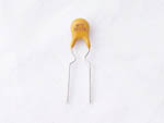 PPTC Resettable Fuse - 72V, 250ma (RXEF025)