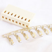 Polarized Header 8 Pin Female